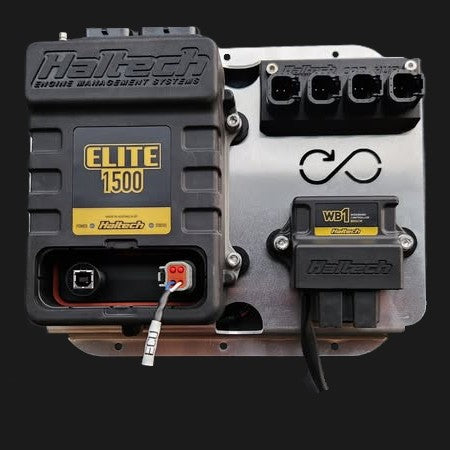 Haltech Elite 1500/2500 -Wideband -Can Hub (on one Mount)