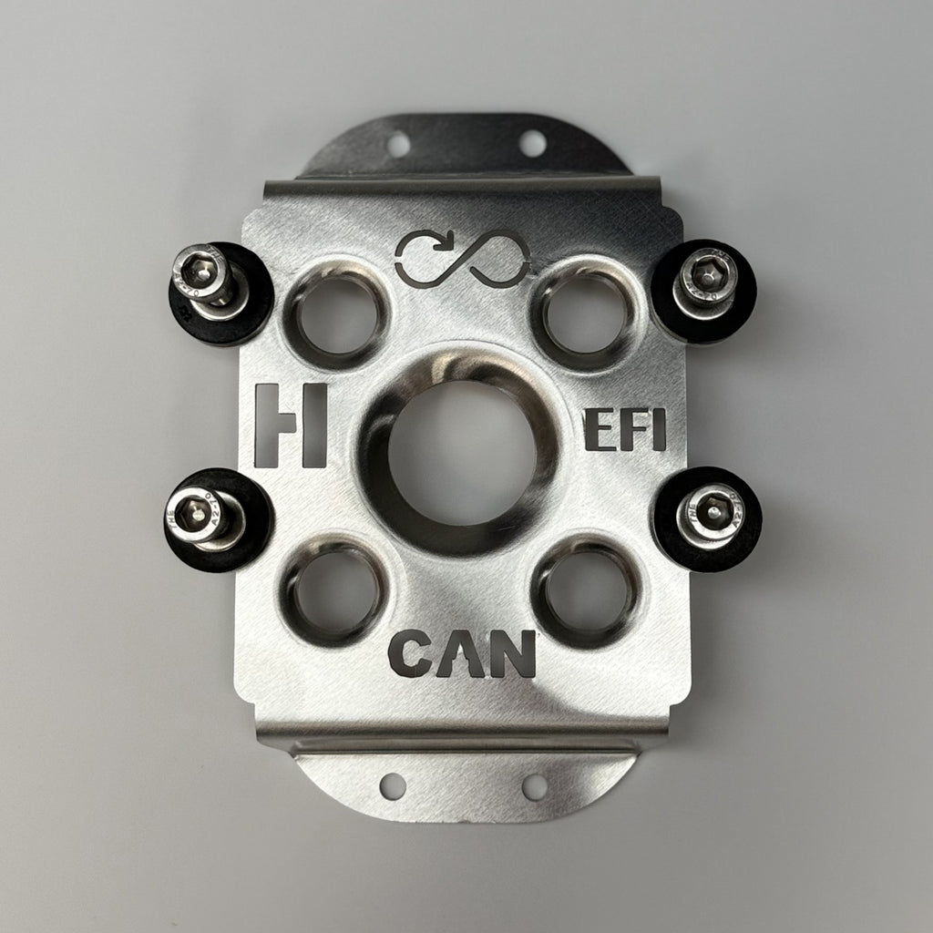 Holley EFI CAN input/Output Module Mount