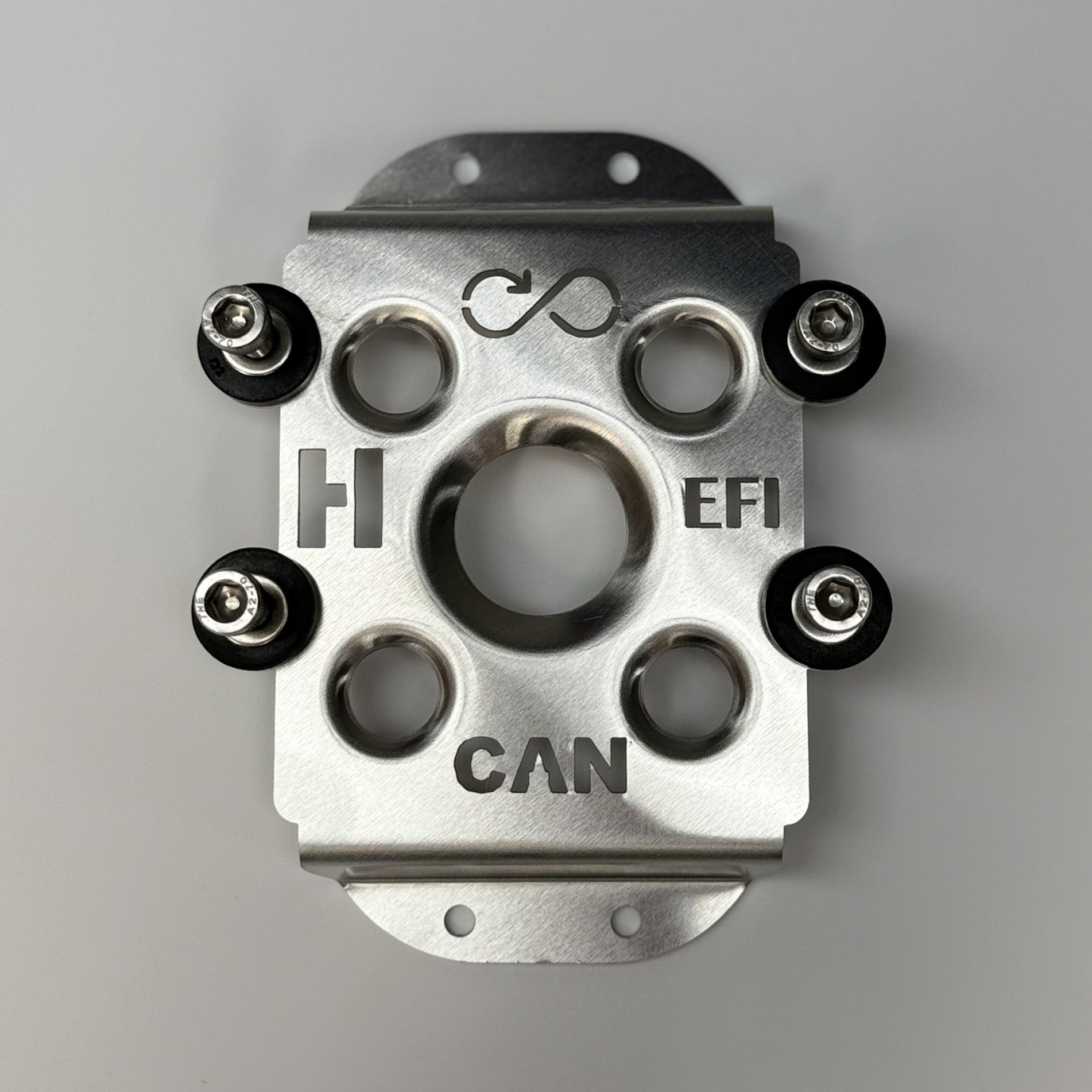 Holley EFI CAN input/Output Module Mount