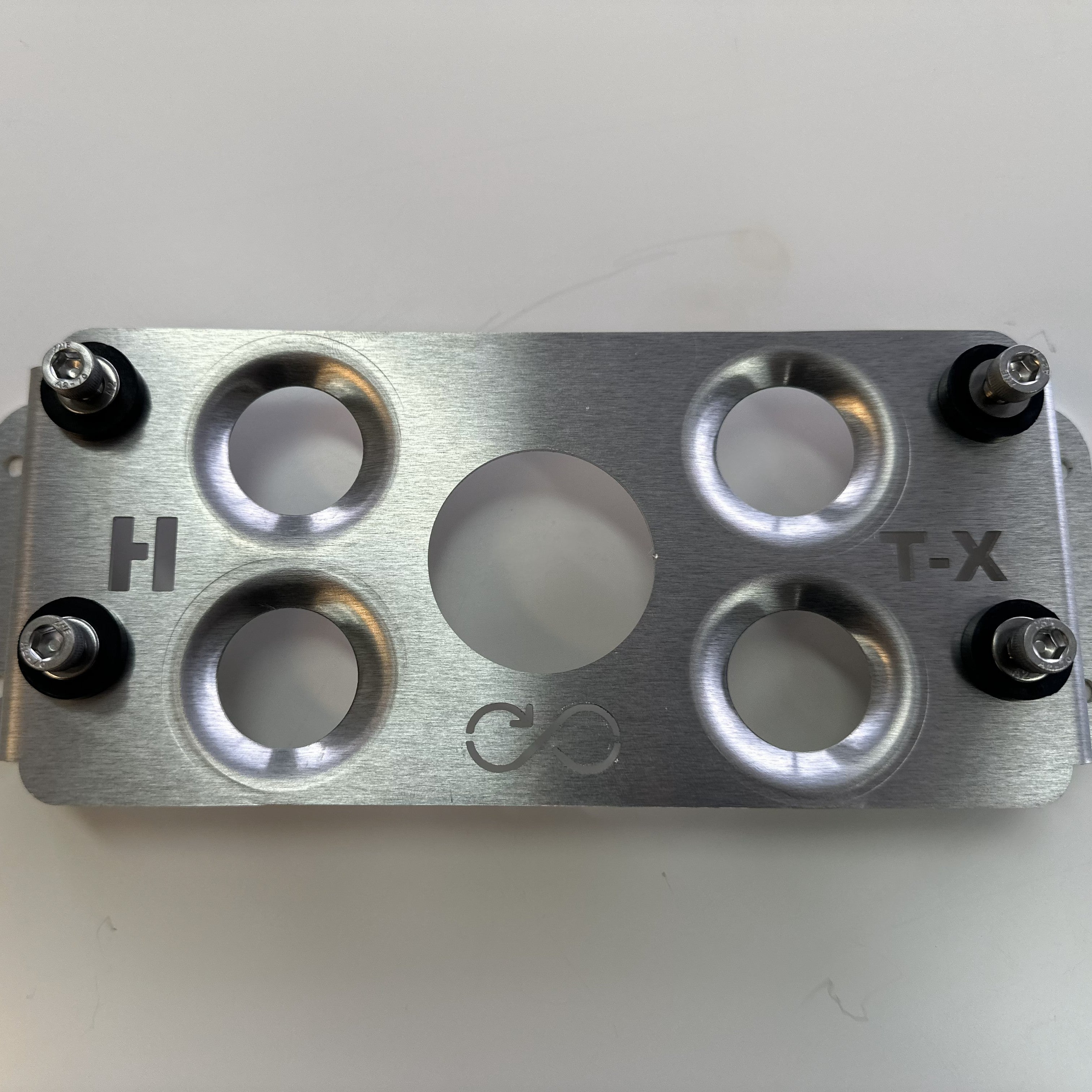 Holley Terminator X Mount