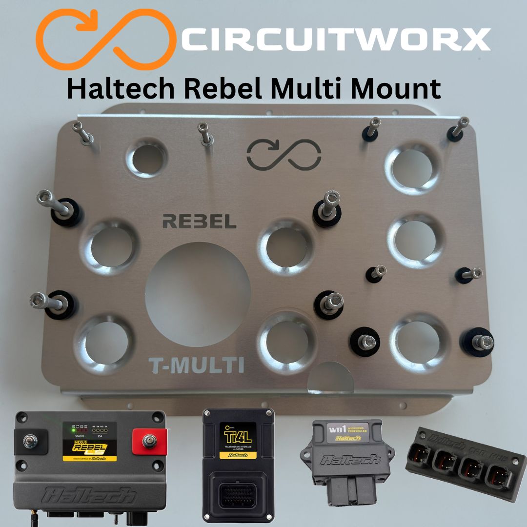Haltech REBEL-LS ECU and Ti4L Multi Mount