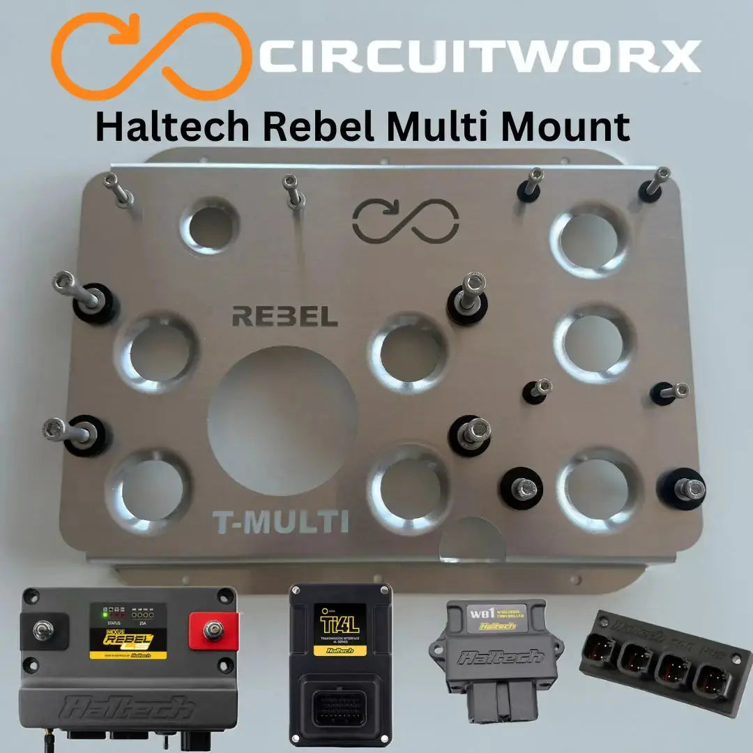 Haltech REBEL-LS ECU and Ti4L Multi Mount CIRCUITWORXS