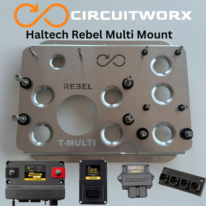 Haltech REBEL-LS ECU and Ti4L Multi Mount